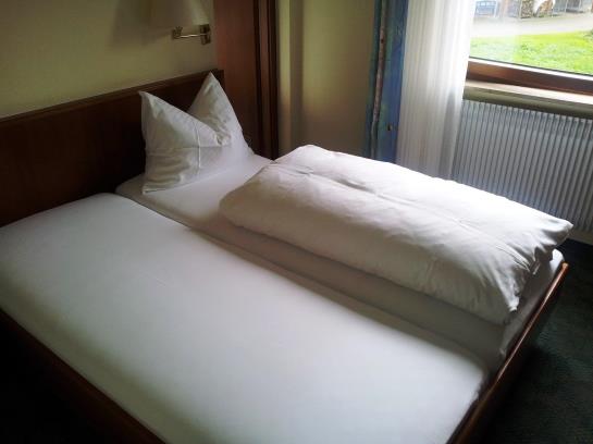 Pansiyon Gasthof Zum Waldhorn