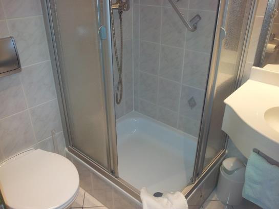 Pansiyon Gasthof Zum Waldhorn