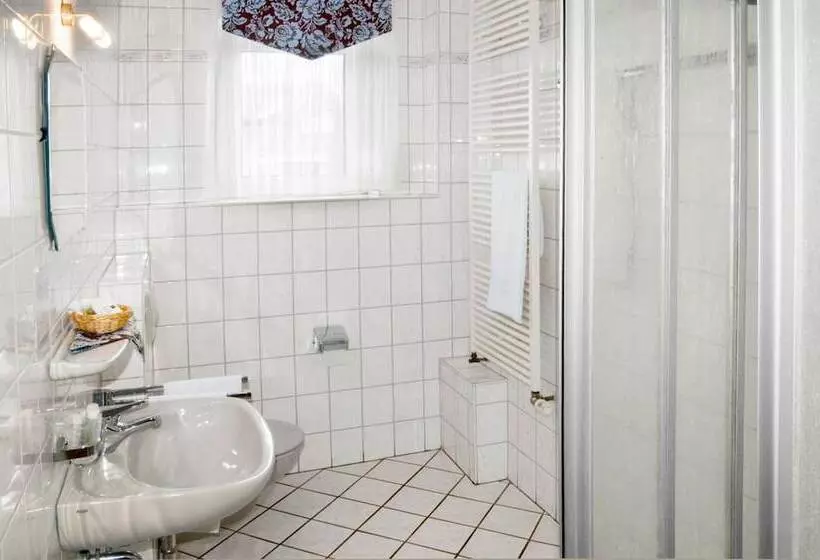 בית מלון כפרי Louis Müller