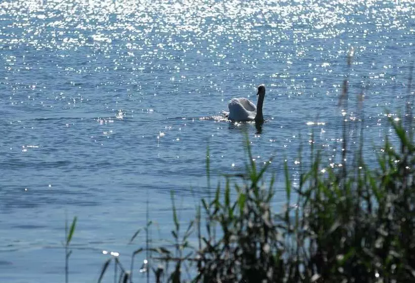 فندق Mein Inselgluck