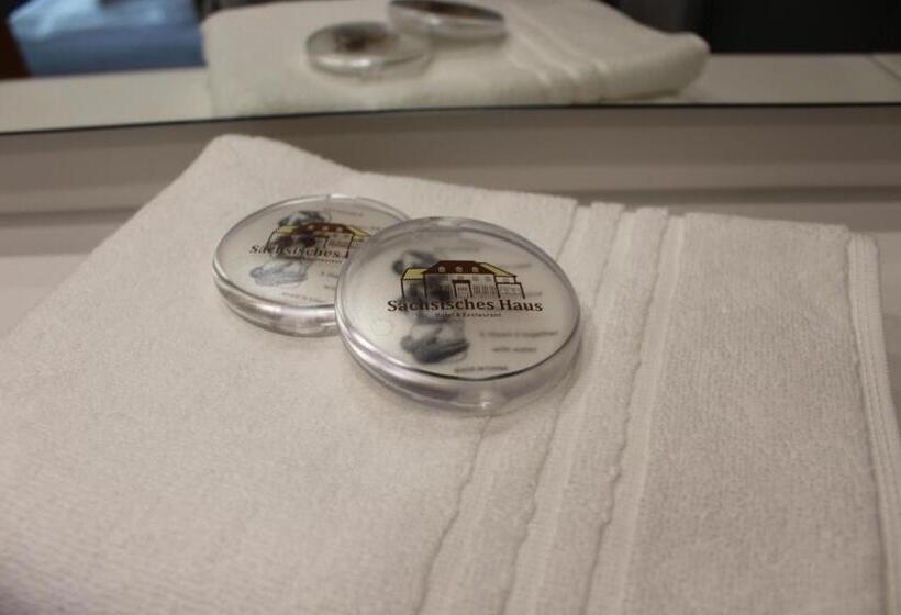 酒店 Sächsisches Haus