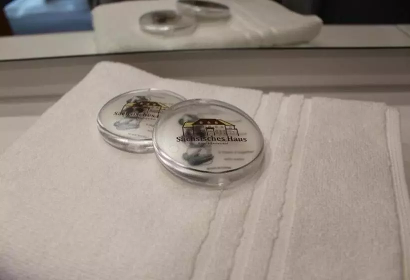 酒店 Sächsisches Haus