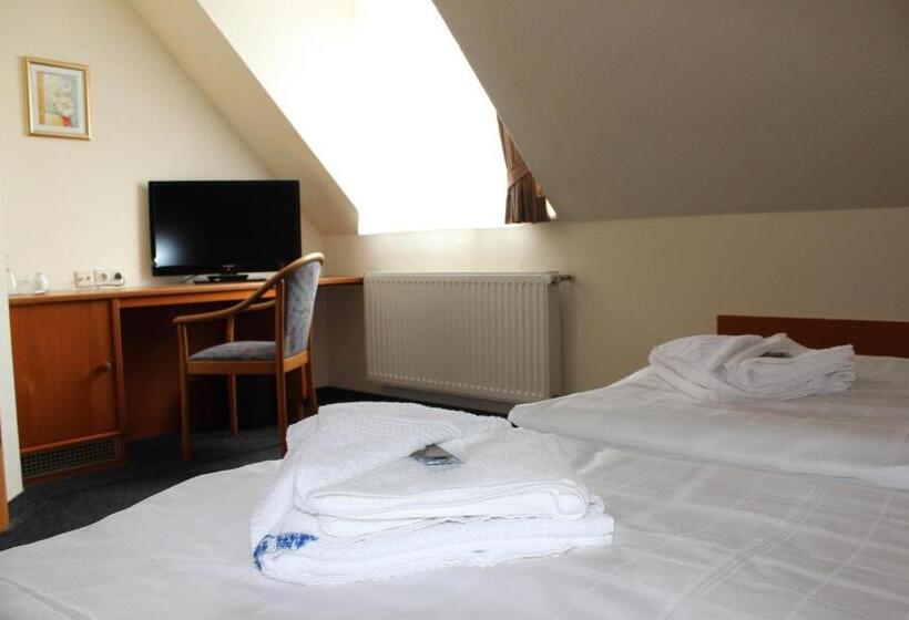 酒店 Sächsisches Haus