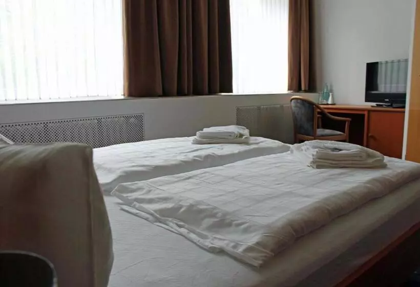 酒店 Sächsisches Haus