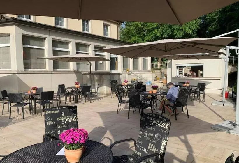 酒店 Sächsisches Haus