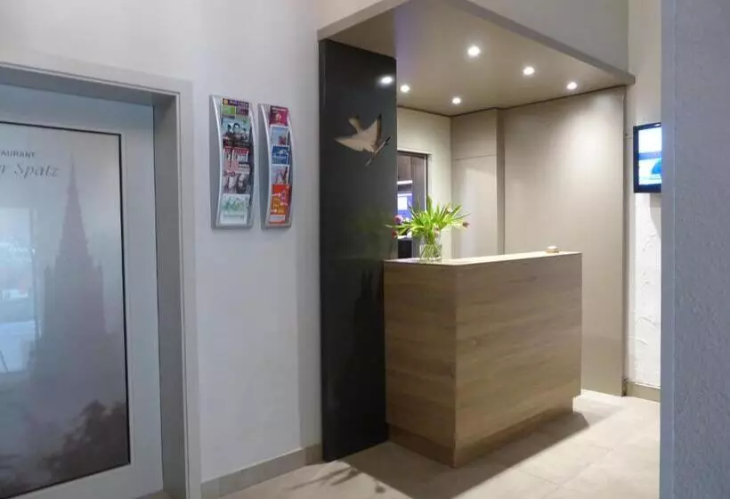 Отель Ulmer Spatz