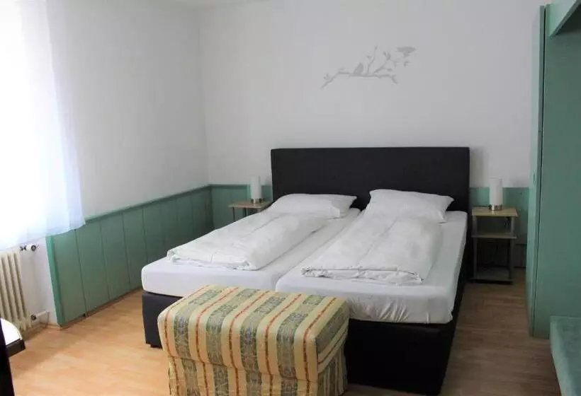 Отель Ulmer Spatz