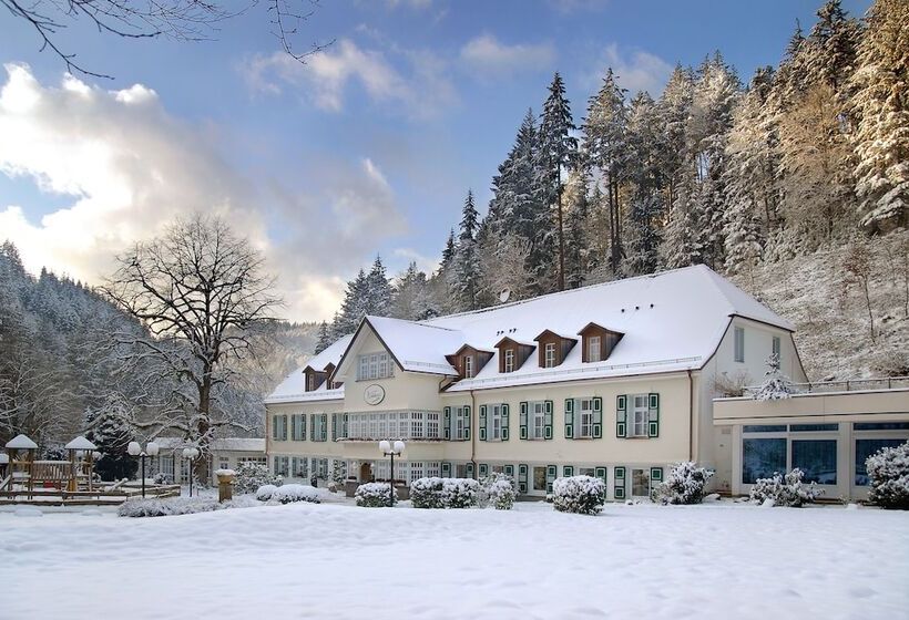 Waldhotel Bad Sulzburg