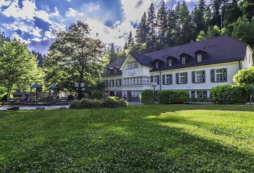 Waldhotel Bad Sulzburg