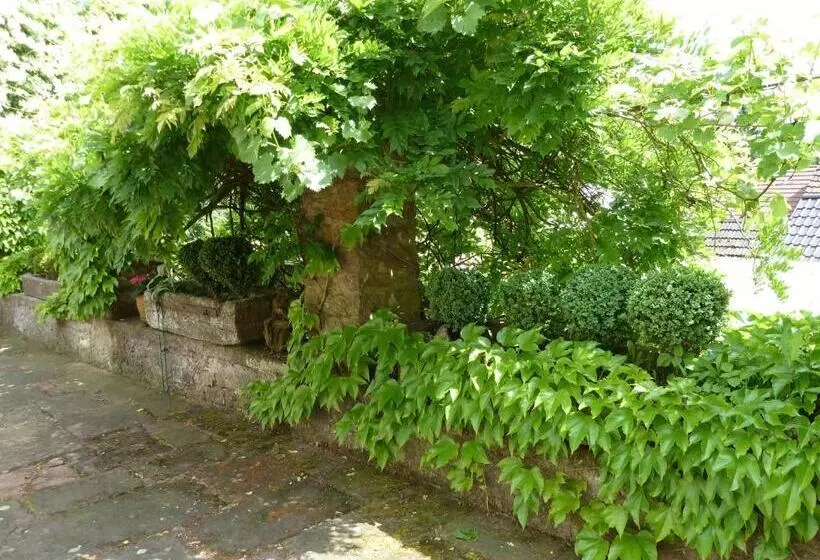 ホテル Zum Alten Brauhaus