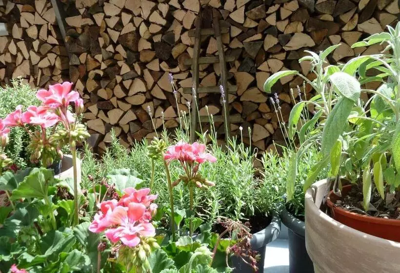 ホテル Zum Alten Brauhaus