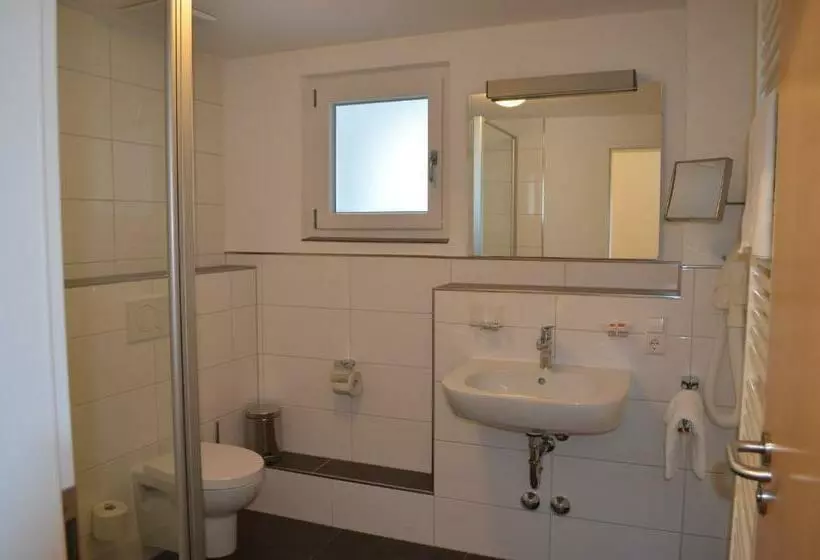 호텔 Zum Goldenen Mann