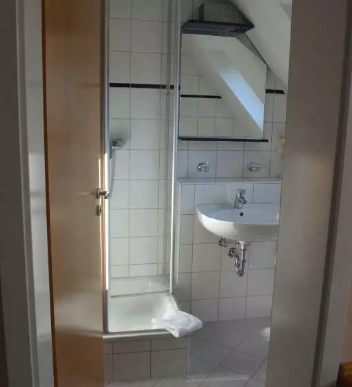 호텔 Zum Goldenen Mann