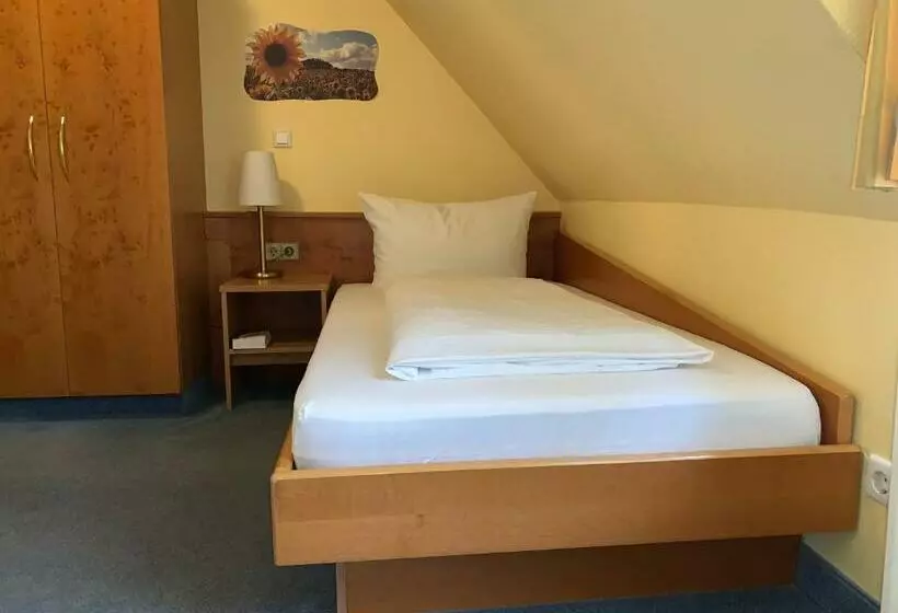 호텔 Zum Goldenen Mann