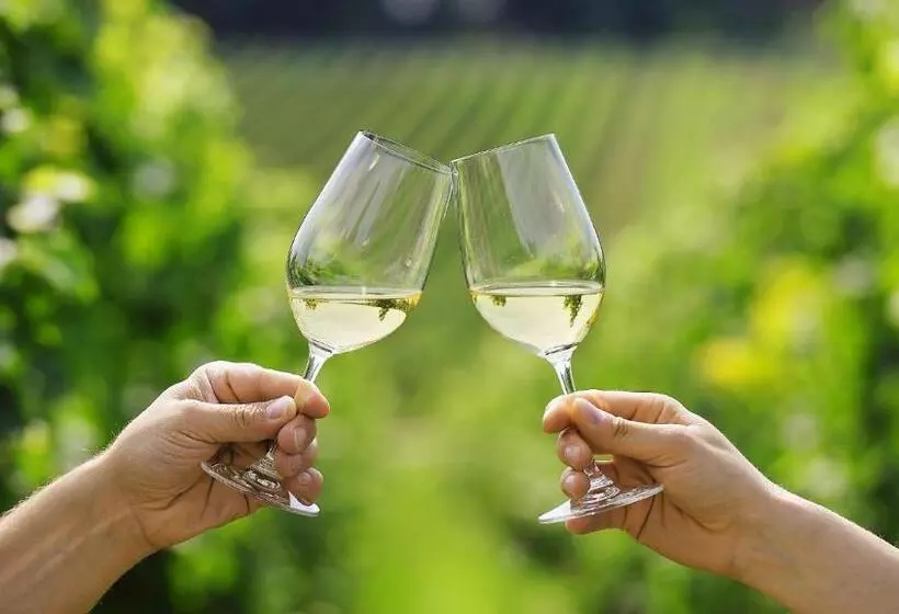 Gasthof Hotel Zum Rebstock