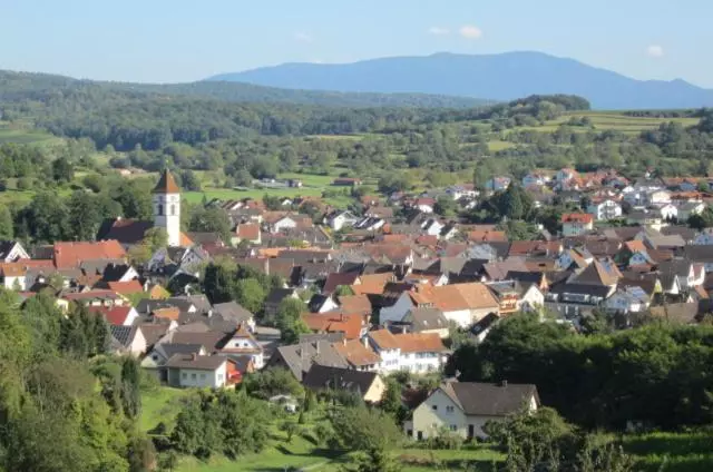 Gasthof Hotel Zum Rebstock