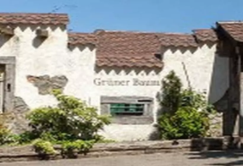 膳宿费 Landgasthaus Grüner Baum