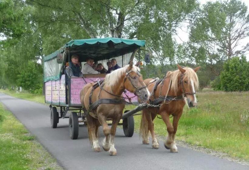 Heidehotel Herrenbrücke