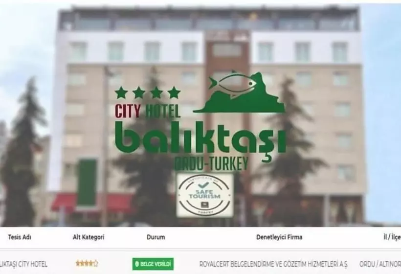 فندق Baliktasi City