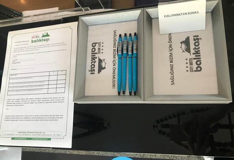 酒店 Baliktasi City