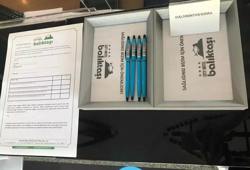 فندق Baliktasi City