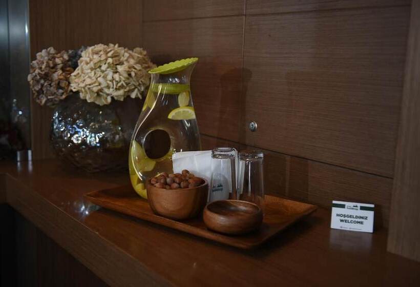 酒店 Baliktasi City