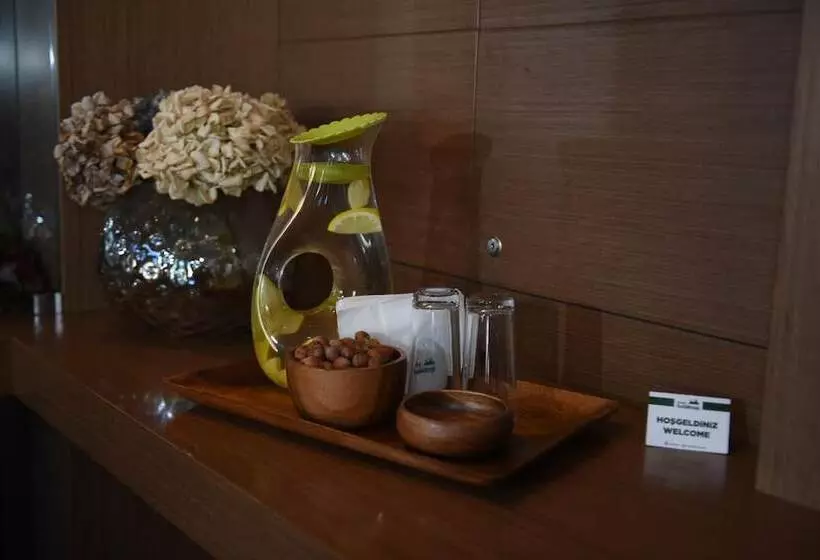 فندق Baliktasi City