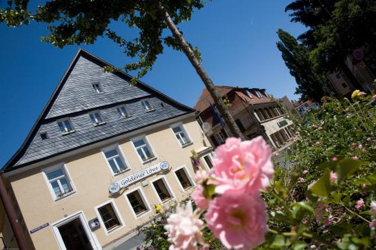 Пансион Brauerei-gasthof Goldener Löwe