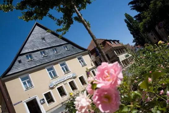 펜션 Brauerei-gasthof Goldener Löwe