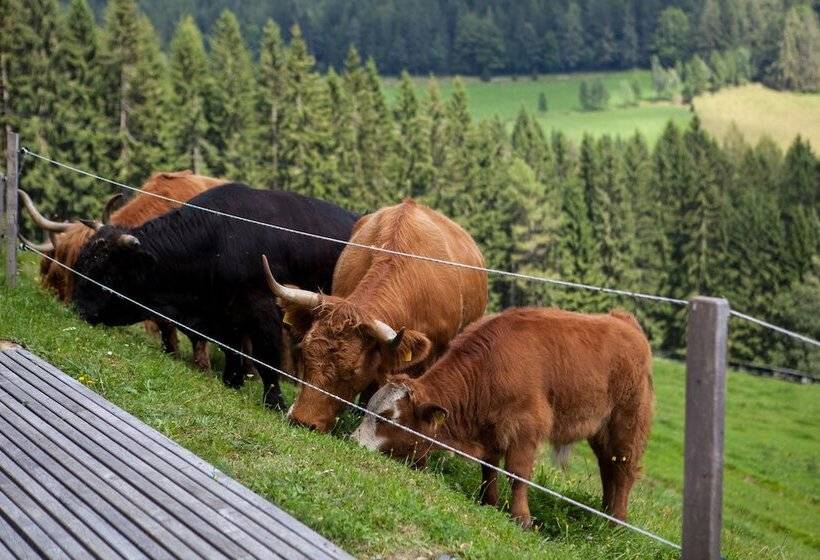 فندق Der Klugbauer