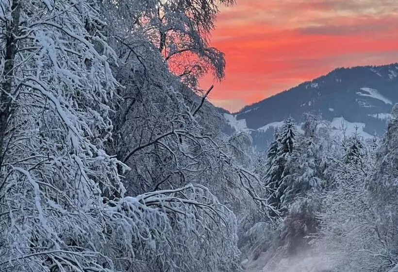 酒店 Pension Pichlerhof