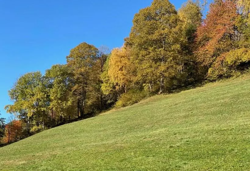 酒店 Pension Pichlerhof