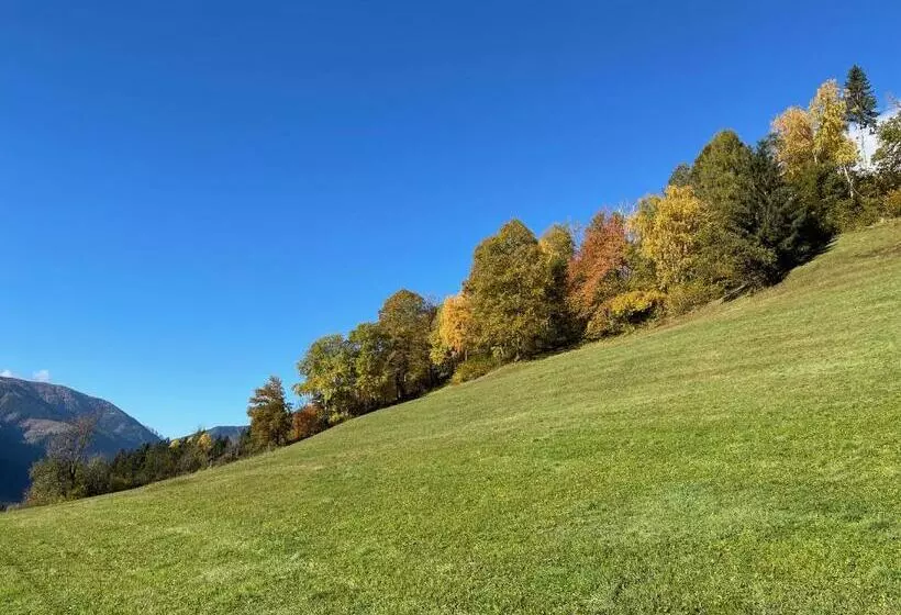 酒店 Pension Pichlerhof