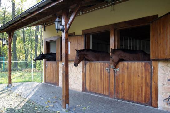 בית מלון כפרי Stara Szmergielnia