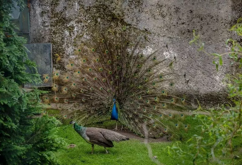 בית מלון כפרי Zamkowy