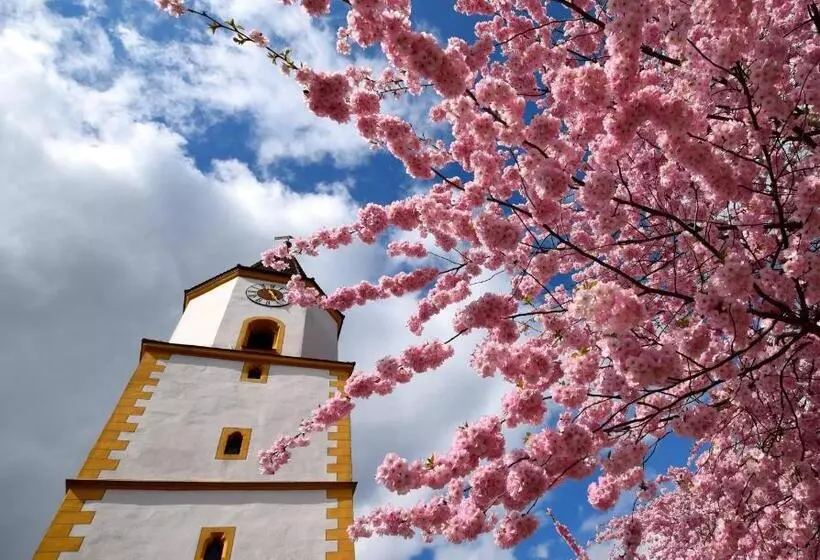 فندق Zum Waldnaabtal