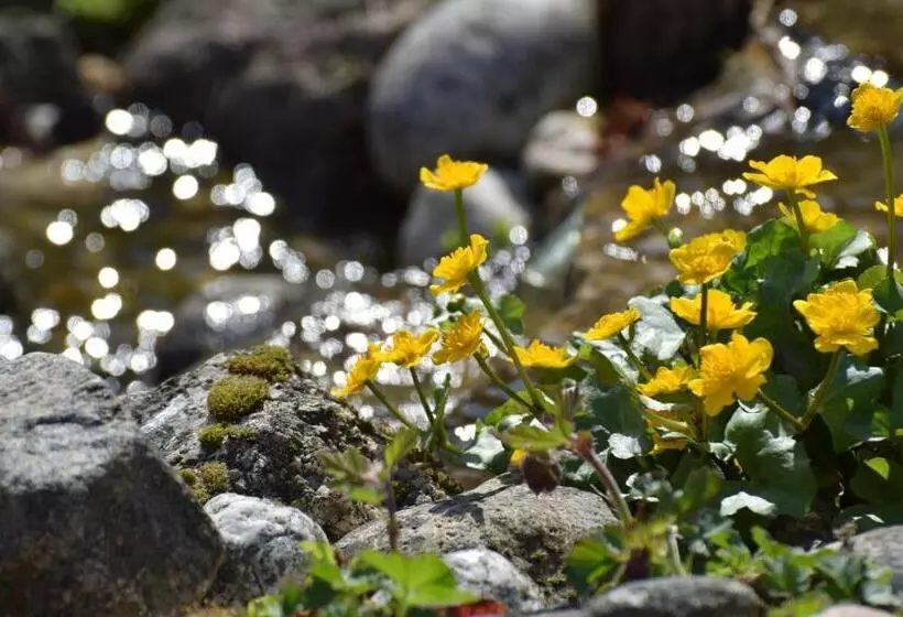 فندق Zum Waldnaabtal