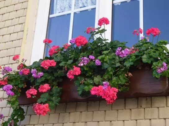 פנסיון Landgasthof Zur Quelle