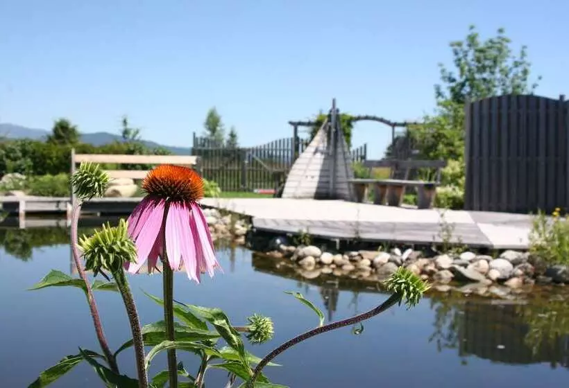 Komfort Appartements Zirbenland   Adults Only   No Dogs