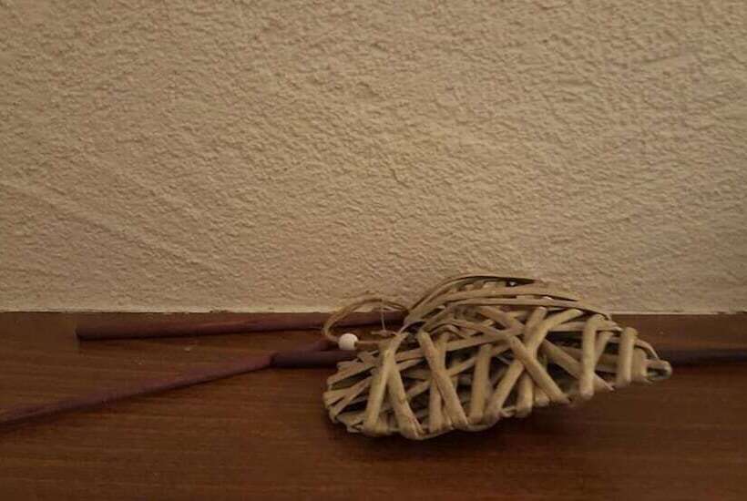 Landhotel Basler Hof