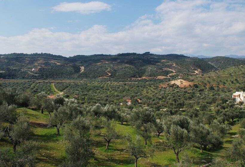 酒店 Elaionas Studios