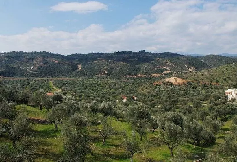 Hotelli Elaionas Studios