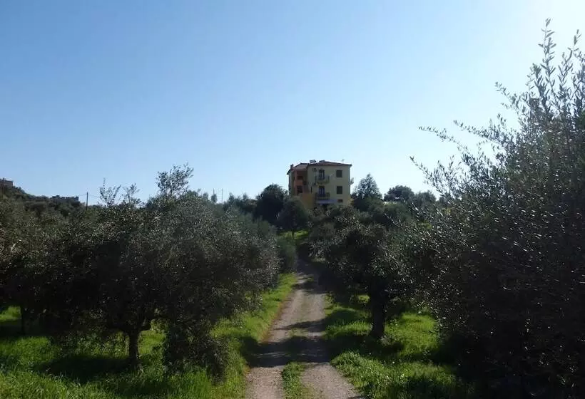 Hotelli Elaionas Studios