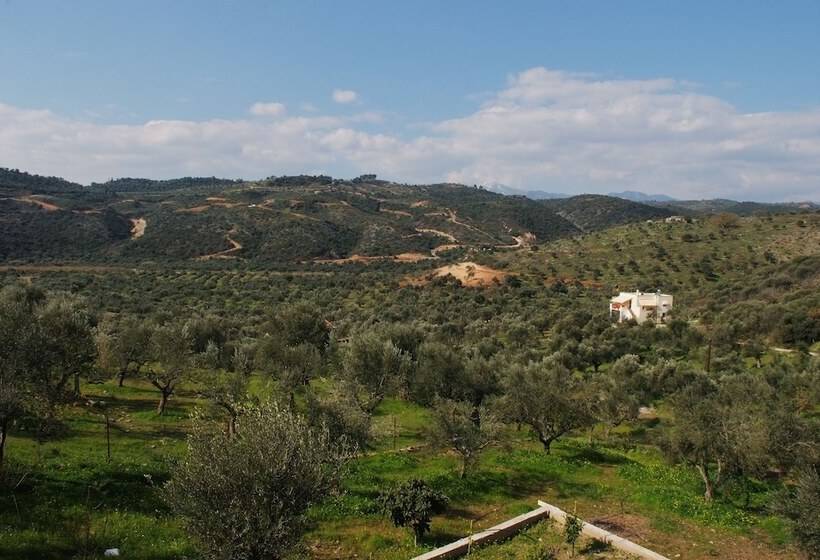 酒店 Elaionas Studios