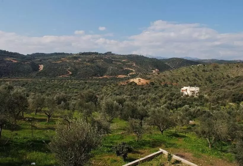 Hotelli Elaionas Studios