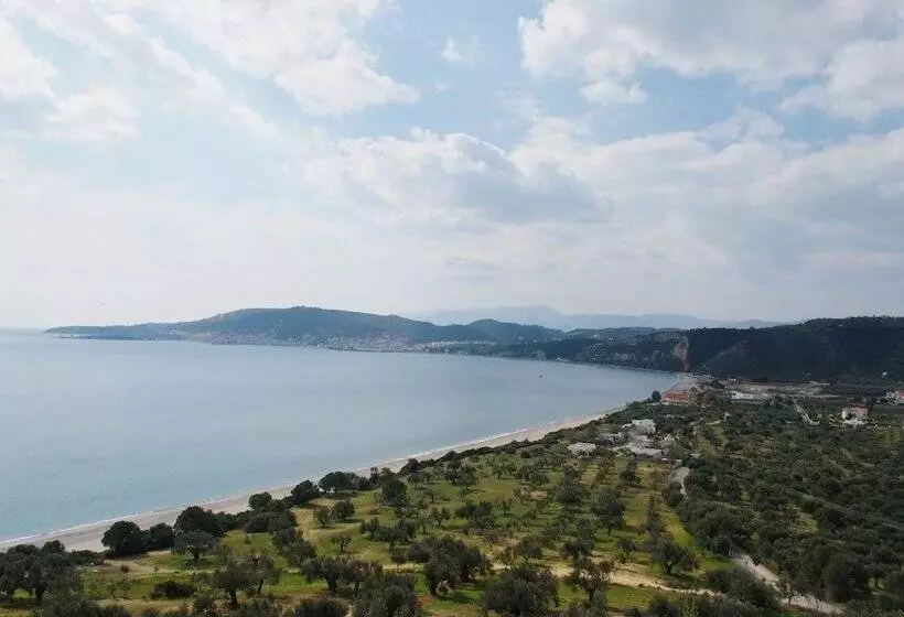 Hotelli Elaionas Studios