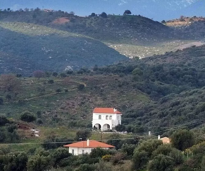 Hotelli Elaionas Studios