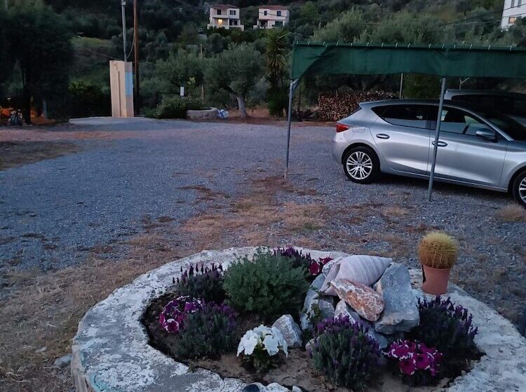 酒店 Elaionas Studios