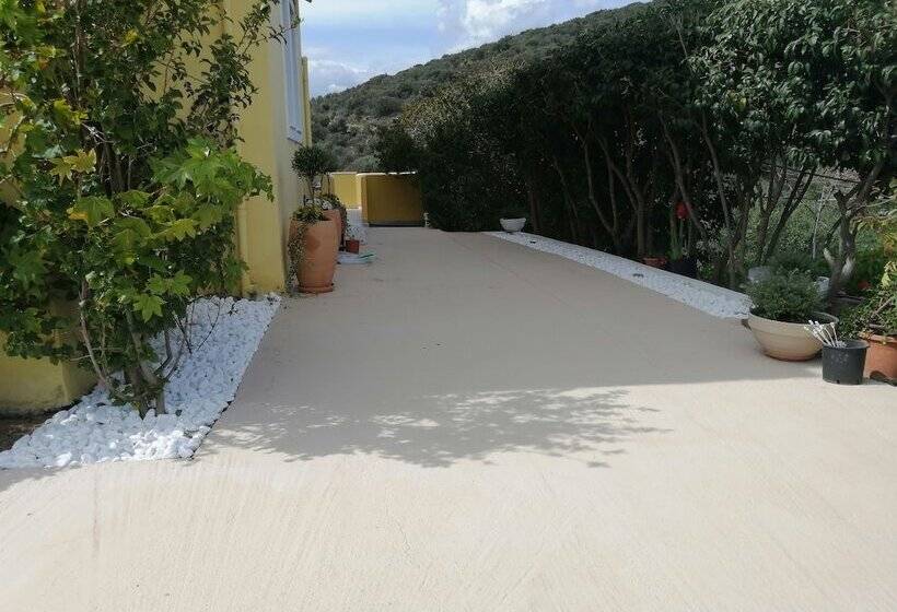 酒店 Elaionas Studios