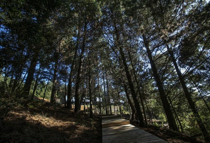 Отель Pura Lodge